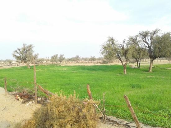 What are the scenic villages of Qeshm?
